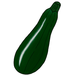 das Zucchini