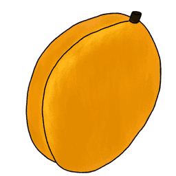 die Aprikose