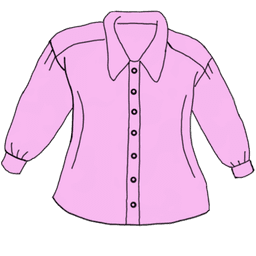 die Bluse