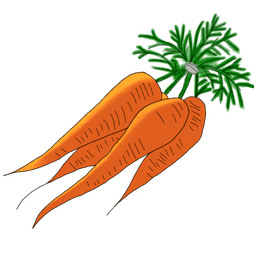 die Karotte