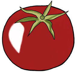 die Tomate