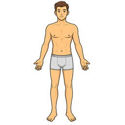 Body parts