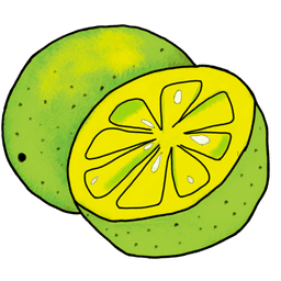 die Limette