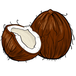 coconut