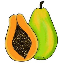 papaya