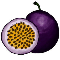 die Passionsfrucht